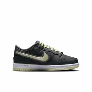 Nike Dunk low shoes (Iron grey/light ice)